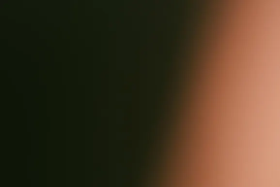 Bet Casino Assistance